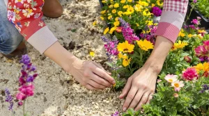 Ces 7 fleurs robustes à planter fin mars fleurissent tout l’été sans effort, même en sol très sec