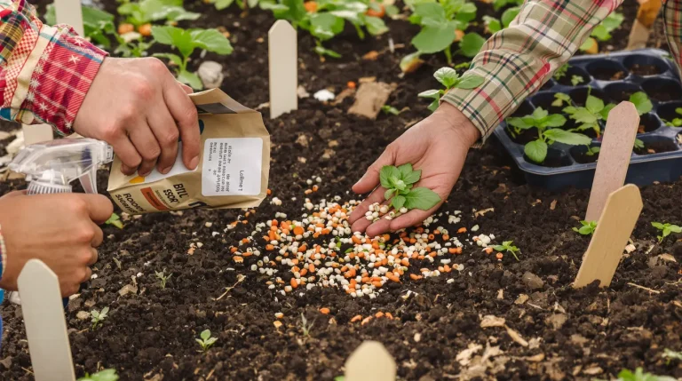 Potager : les semis de mars à ne surtout pas oublier, voici ceux à lancer dès maintenant