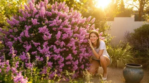 Cet arbuste fleurit 8 mois par an et sublime tous les jardins sans beaucoup d’entretien