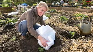 Jardinage : que faire au potager à la mi-avril ? Les gestes à prévoir dès maintenant