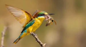 Cet oiseau revient chaque printemps et chasse naturellement les frelons de votre jardin