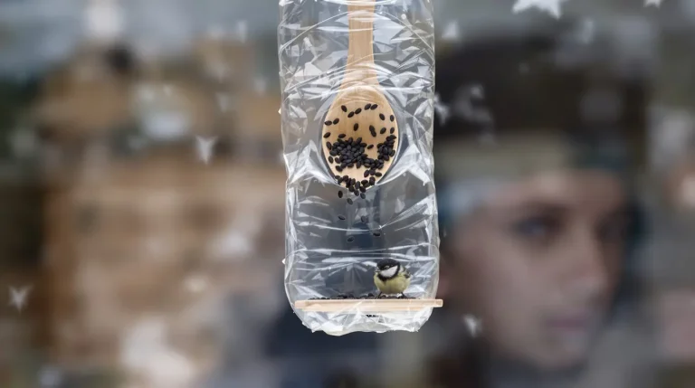 Comment une simple bouteille plastique devient une mangeoire idéale pour les oiseaux