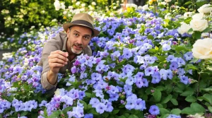 Élue « plante du siècle » à Londres, cette vivace bleue fleurit des mois sans entretien compliqué