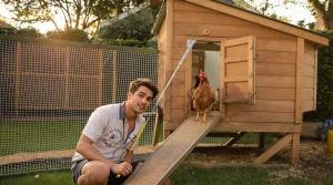 Poulailler chez soi : à partir de combien de poules la mairie peut-elle intervenir ?