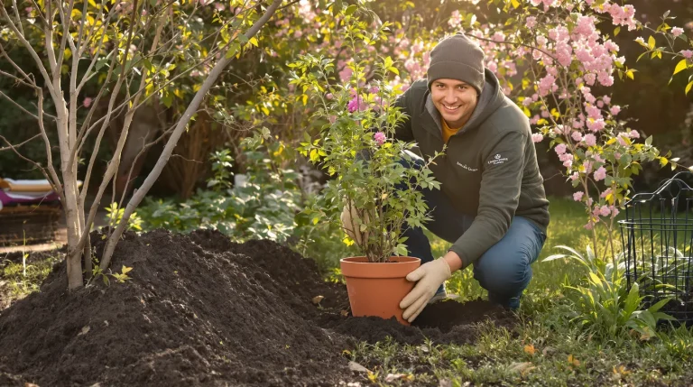 Ce buisson qu’adorent les pollinisateurs est à planter dès maintenant pour un festin au printemps