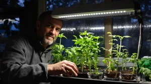 Ce que font les bons jardiniers en février pour des semis de tomates qui ne filent jamais