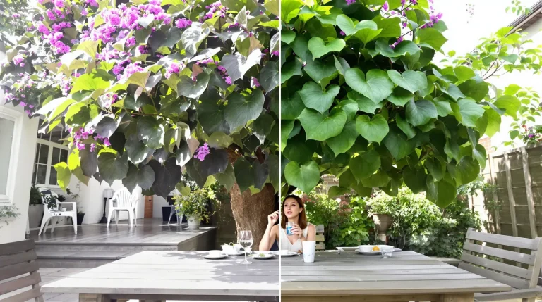 Cet arbre pousse à toute allure et transforme votre jardin en oasis, même quand il fait 40 °C