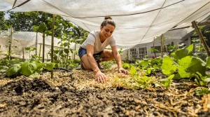 Comment protéger son potager de la canicule : les gestes qui évitent les dégâts liés à la chaleur