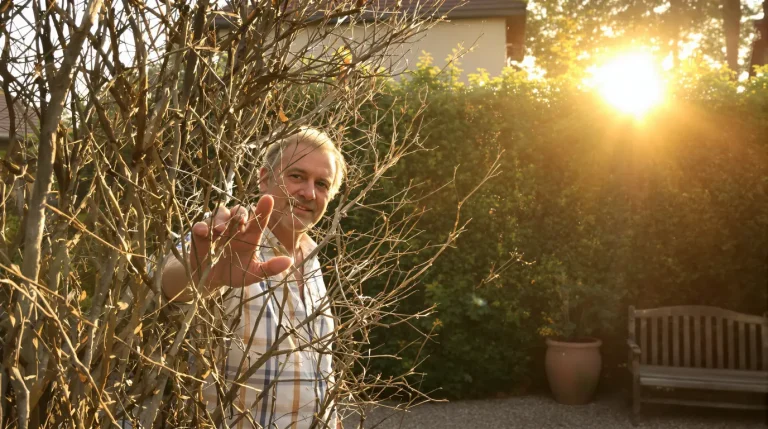 Adieu aux haies de thuyas : cet arbuste méconnu envahit les jardins français dès 2027 Adieu aux haies de thuyas : cet arbuste méconnu envahit les jardins français dès 2027