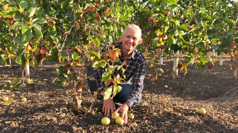 Après deux étés de sécheresse, ces arbres fruitiers remplacent les pommiers dans de plus en plus de jardins