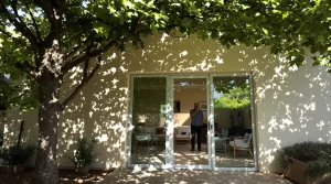 Mon voisin a planté un arbre contre sa façade sud il y a 3 ans, et ce n’est pas pour décorer