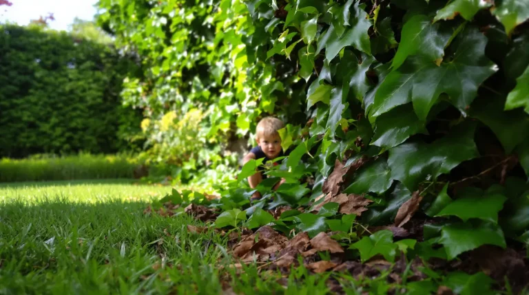 Évitez cette plante au jardin : elle attire les tiques, voici pourquoi il faut l’écarter